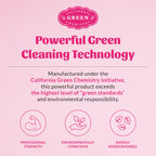 Cat Stain Remover product image 9