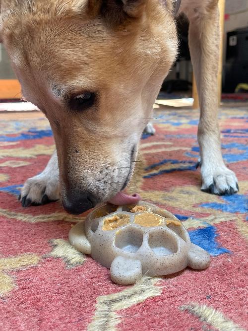 Dog Chew Toy product image 5