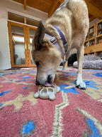 Dog Chew Toy product image 8