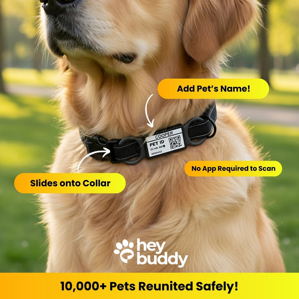 QR Code Pet ID Tag product image 2