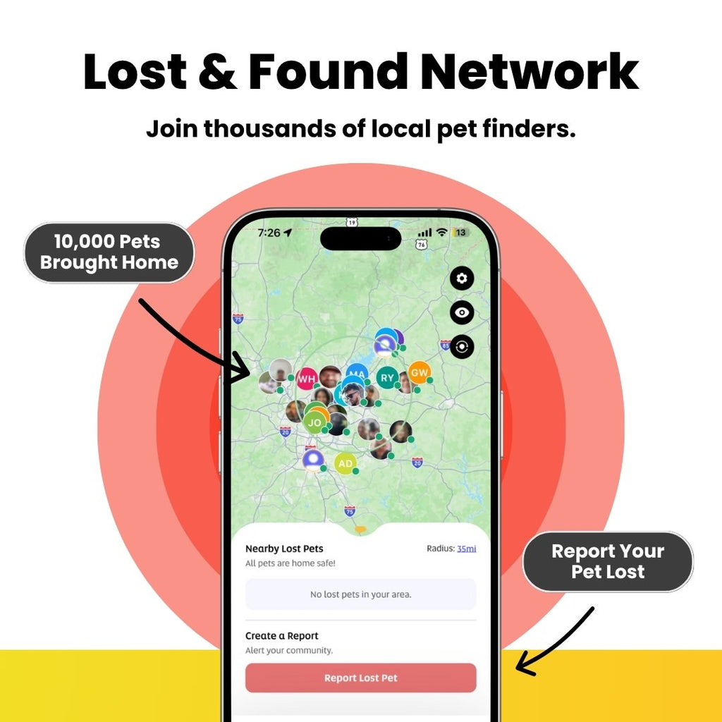 QR Code Pet ID Tag product image 8