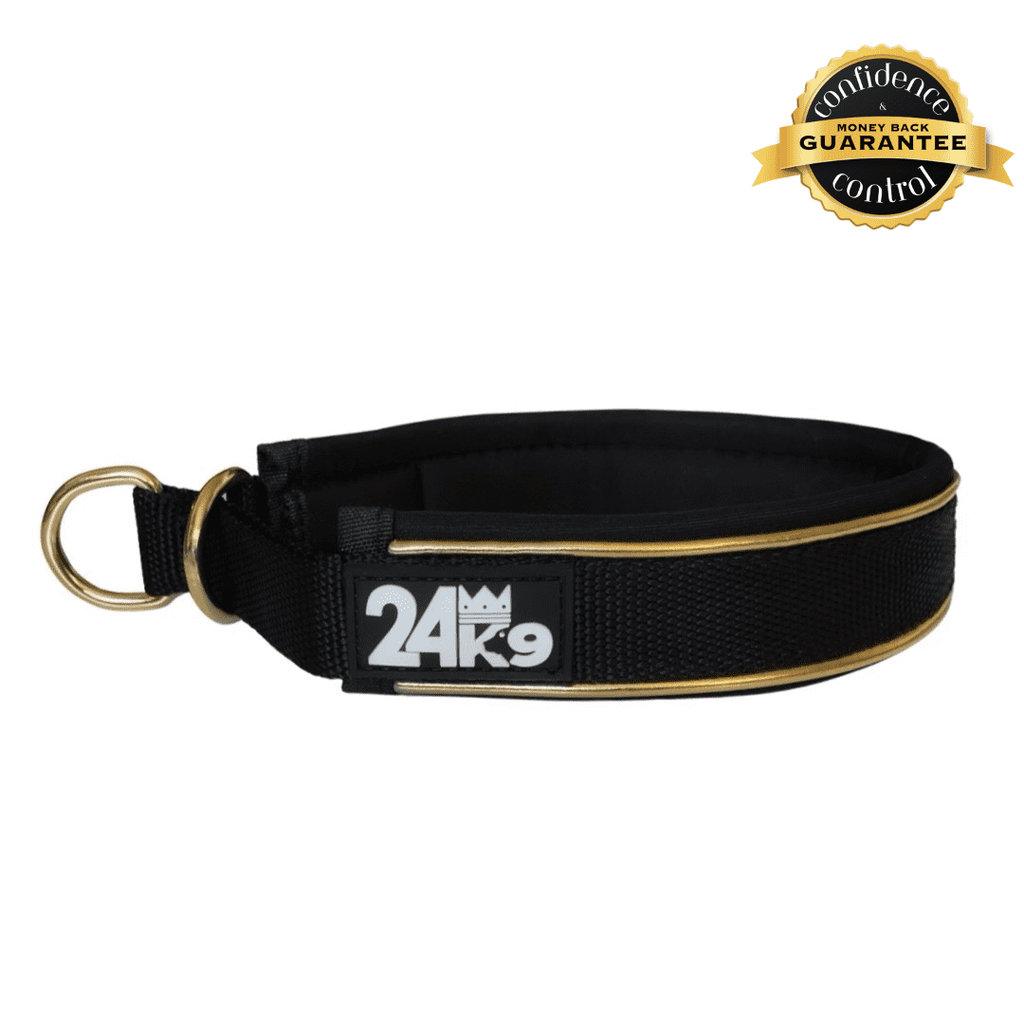 Slip Dog Collar product image 1