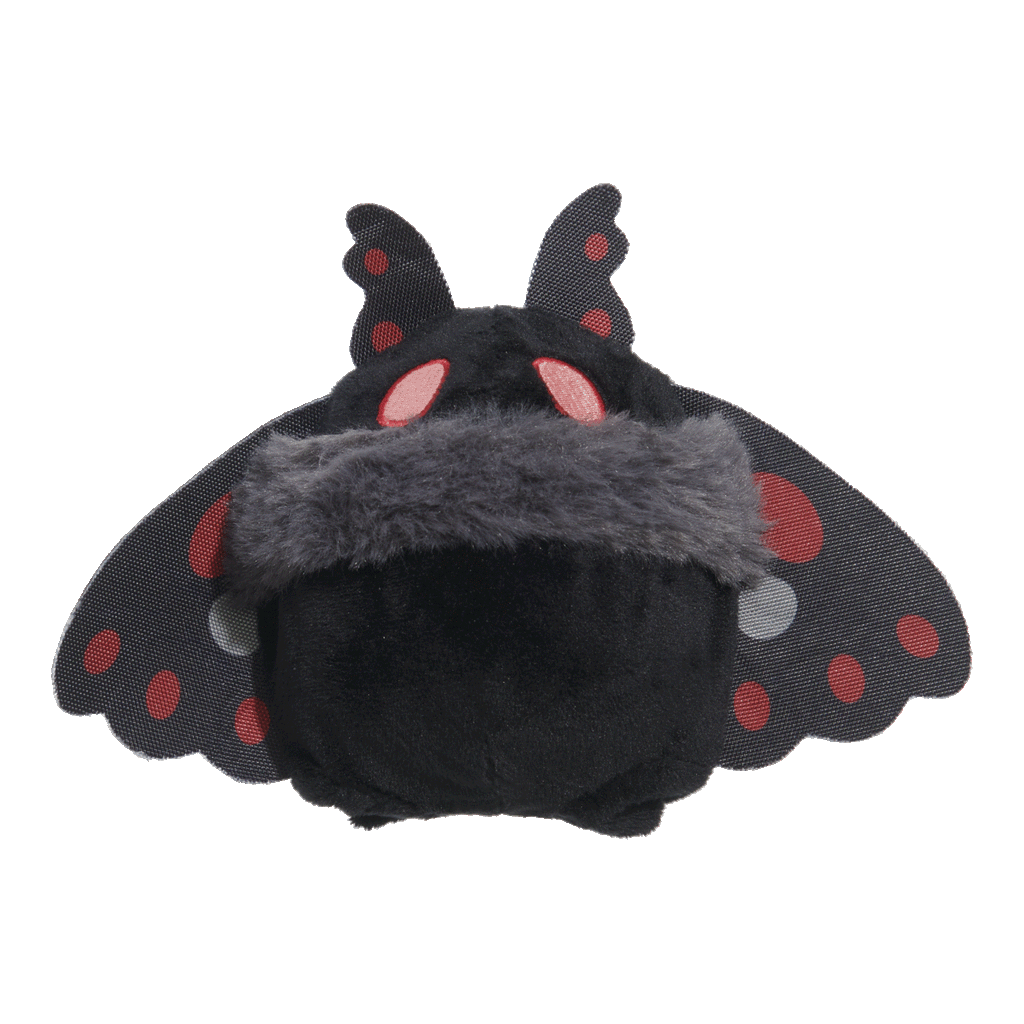 2-in-1 Dog Toy product image 1