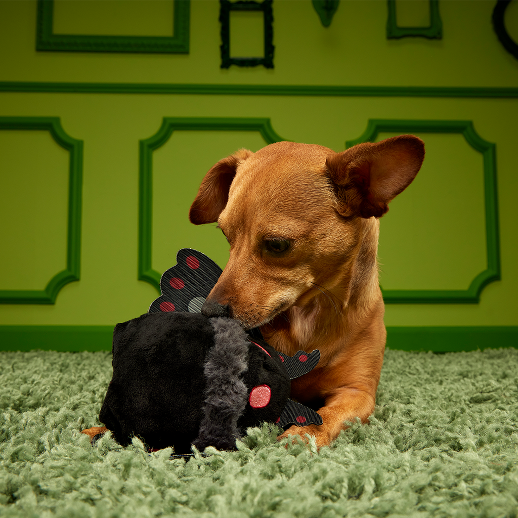 2-in-1 Dog Toy product image 2