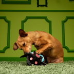 2-in-1 Dog Toy product image 3