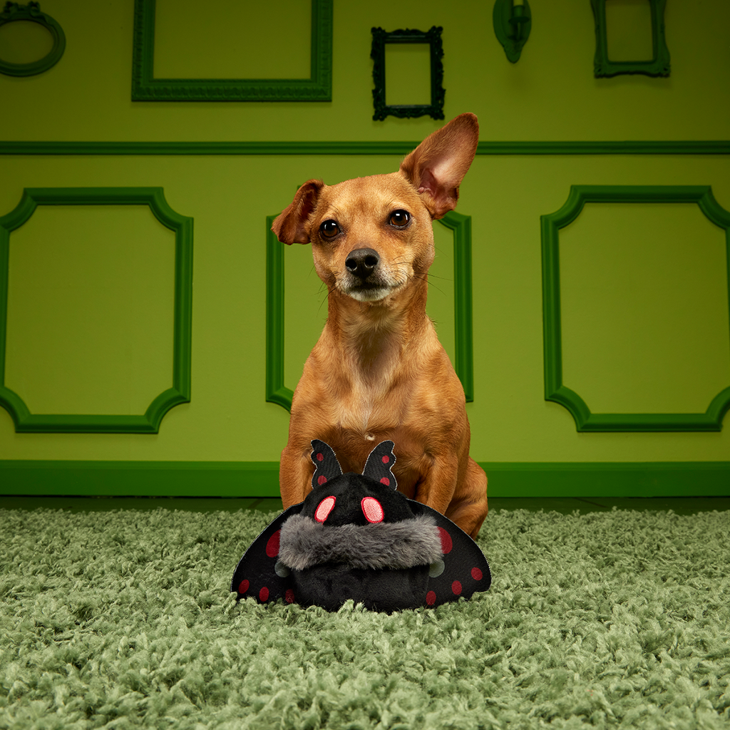 2-in-1 Dog Toy product image 4