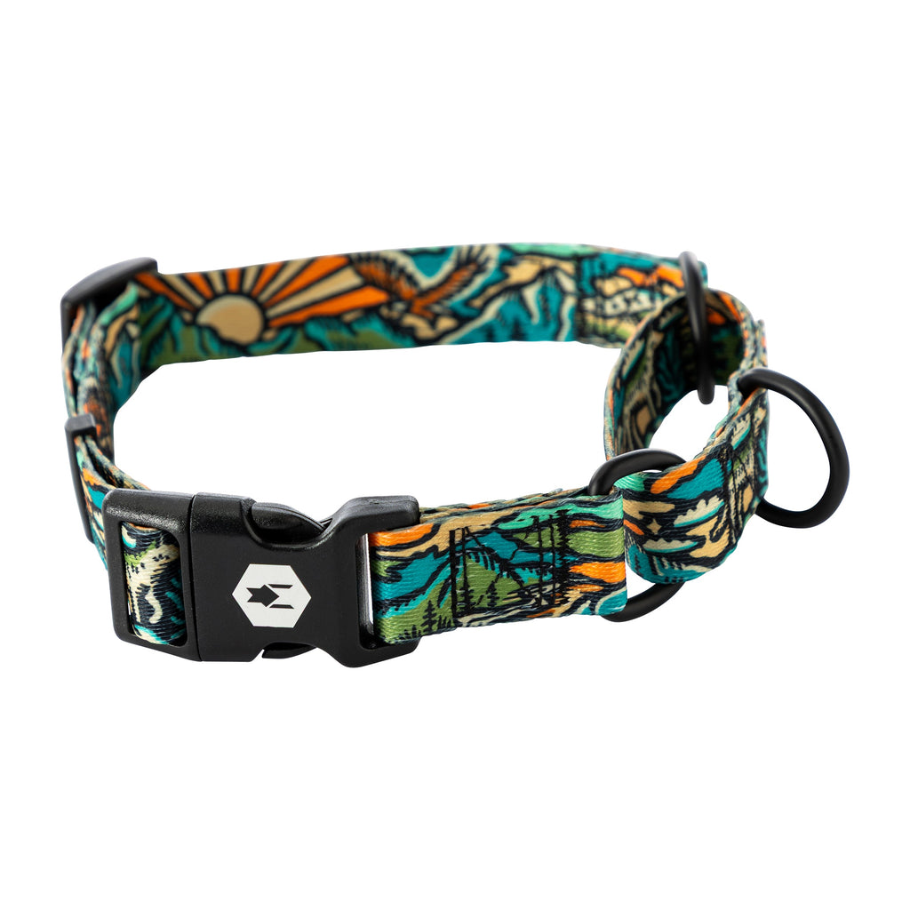 Martingale Dog Collar product image 1