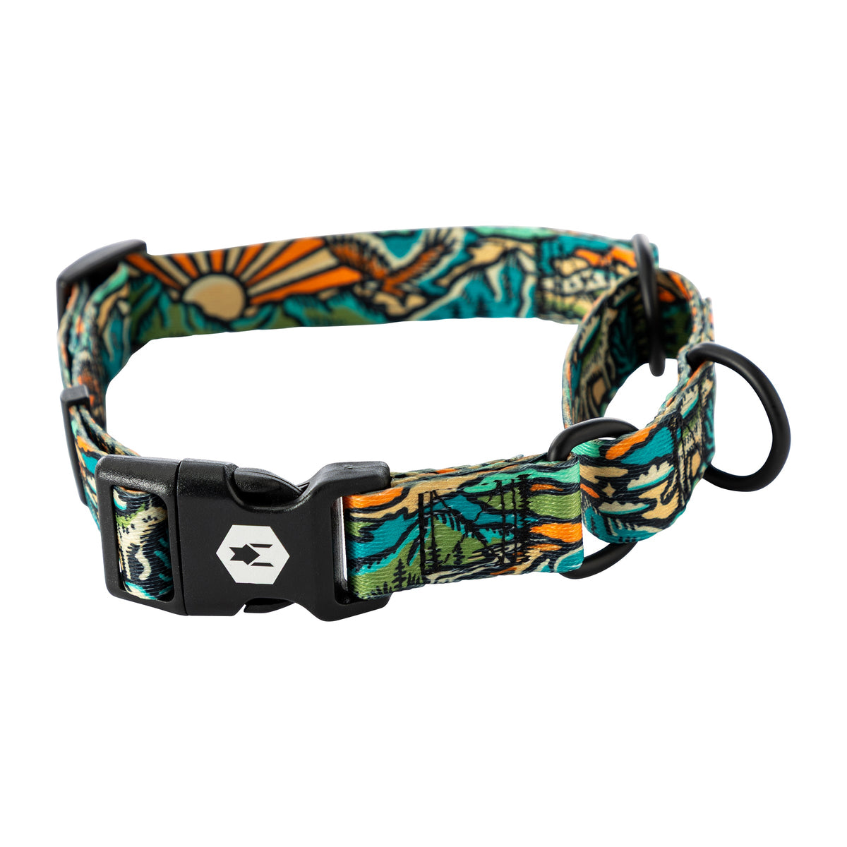 Martingale Dog Collar product image 1