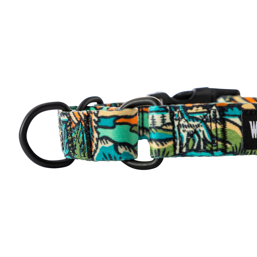 Martingale Dog Collar product image 3