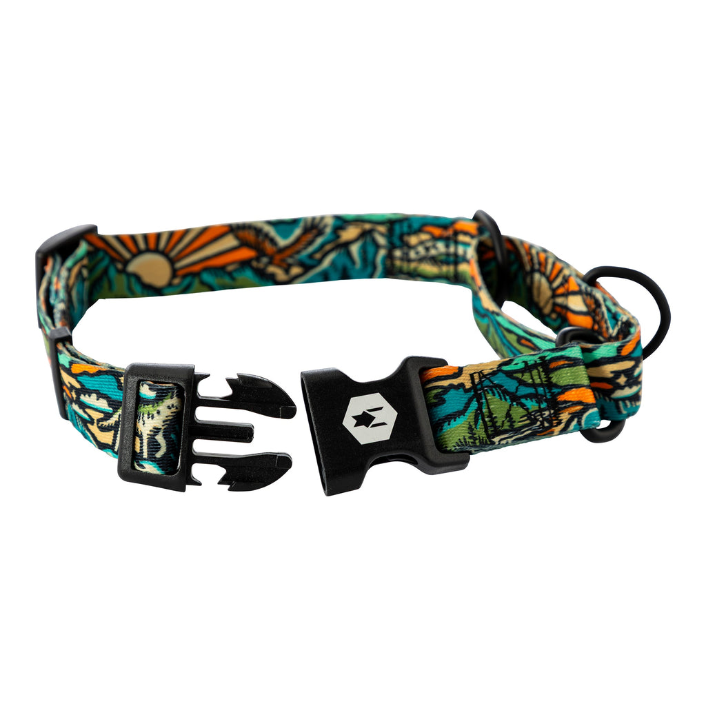 Martingale Dog Collar product image 4