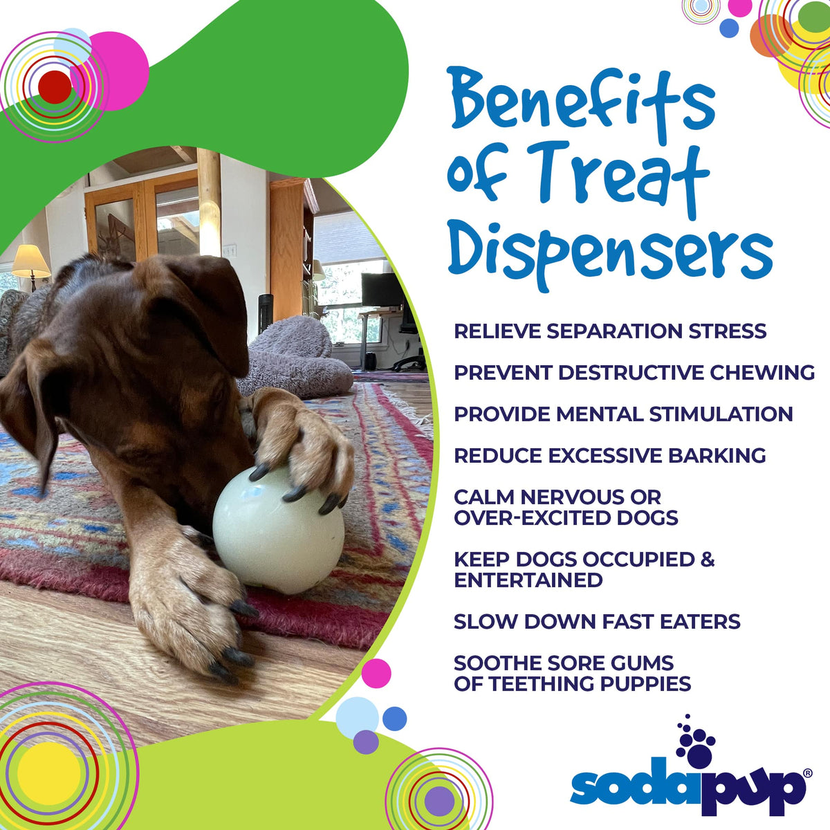 Dog Treat Ball product image 7