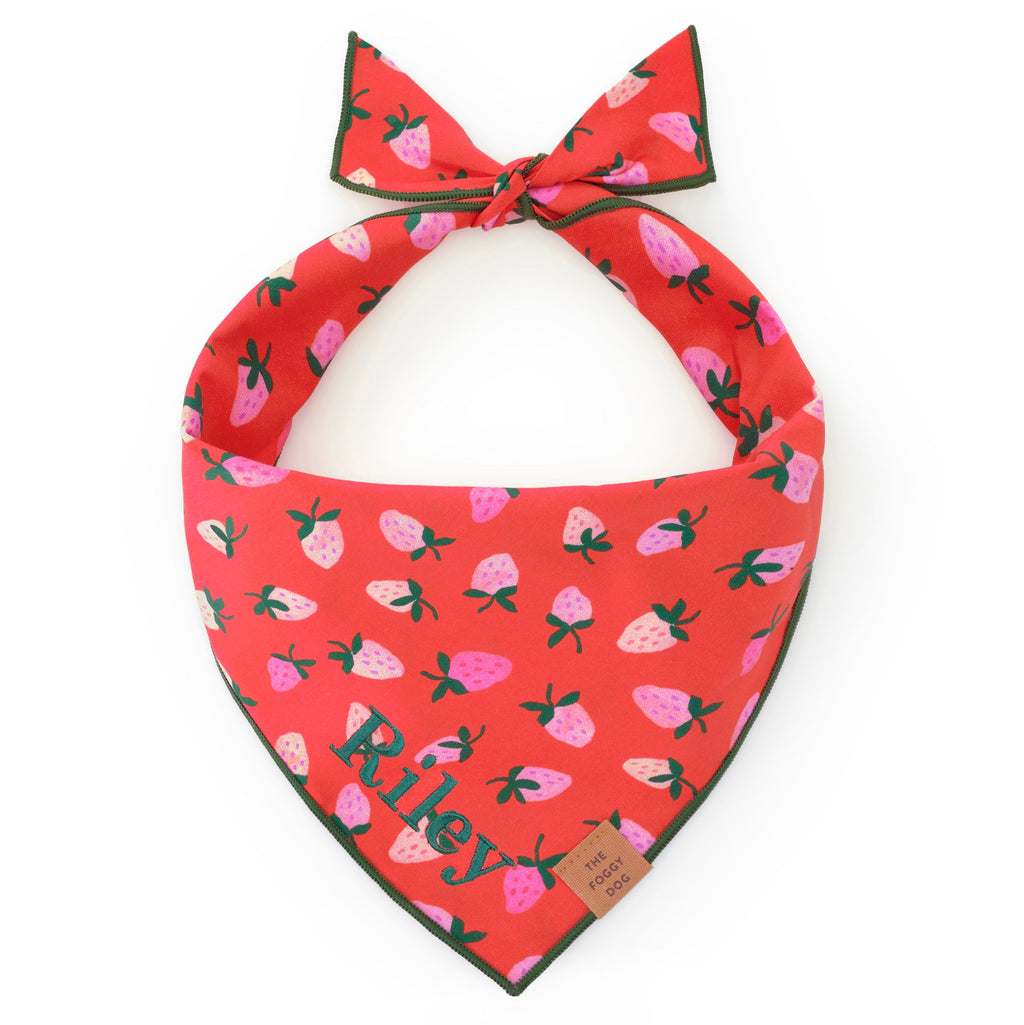 Dog Bandana product image 1