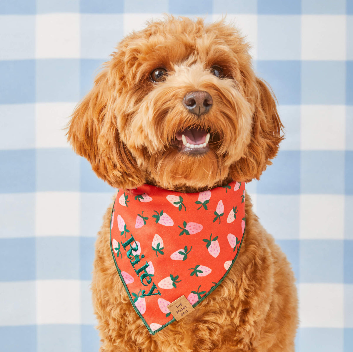 Dog Bandana product image 3