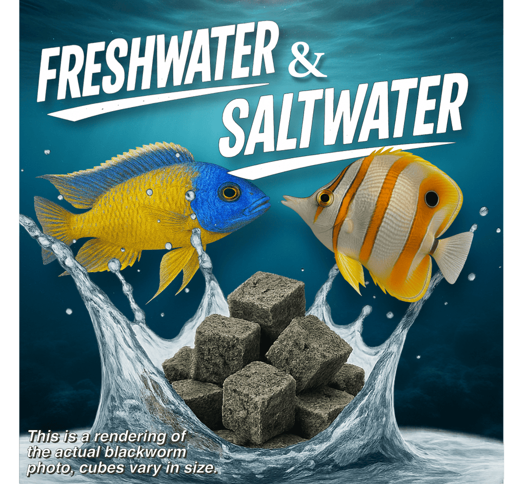 Freeze-Dried Fish Food product image 5