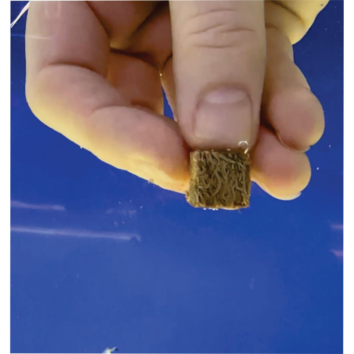 Freeze-Dried Fish Food product image 8