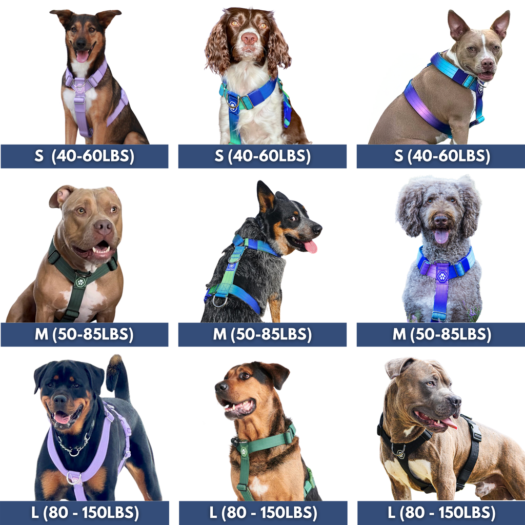 Dog Harness product image 6