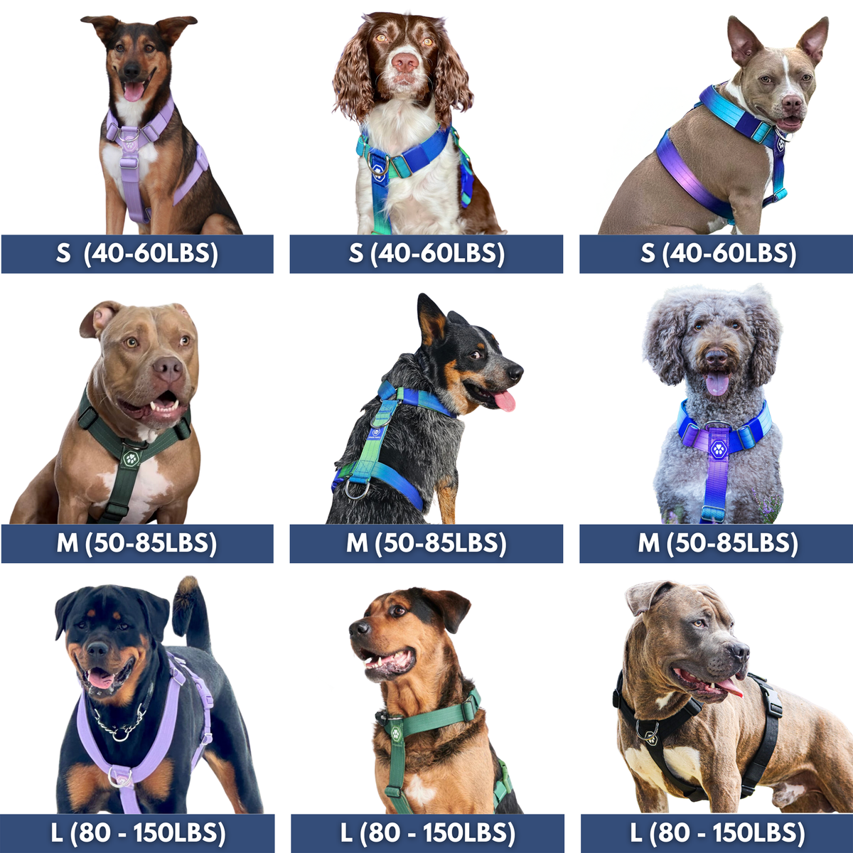 Dog Harness product image 6