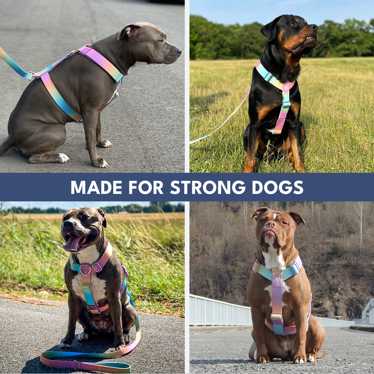 No-Pull Dog Harness product image 14