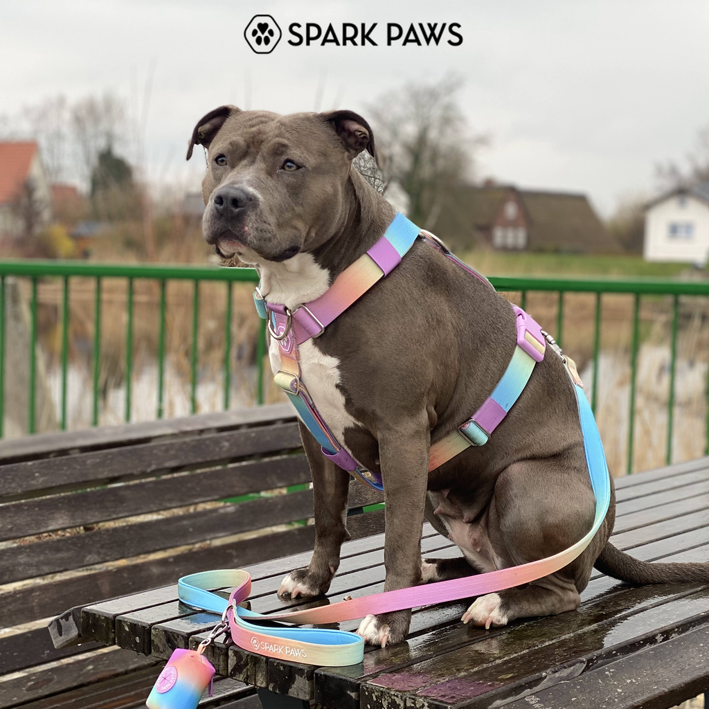 No-Pull Dog Harness product image 15