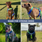 No-Pull Dog Harness product image 21