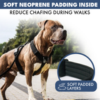 No-Pull Dog Harness product image 27
