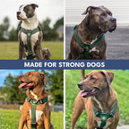 No-Pull Dog Harness product image 35
