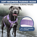 No-Pull Dog Harness product image 48