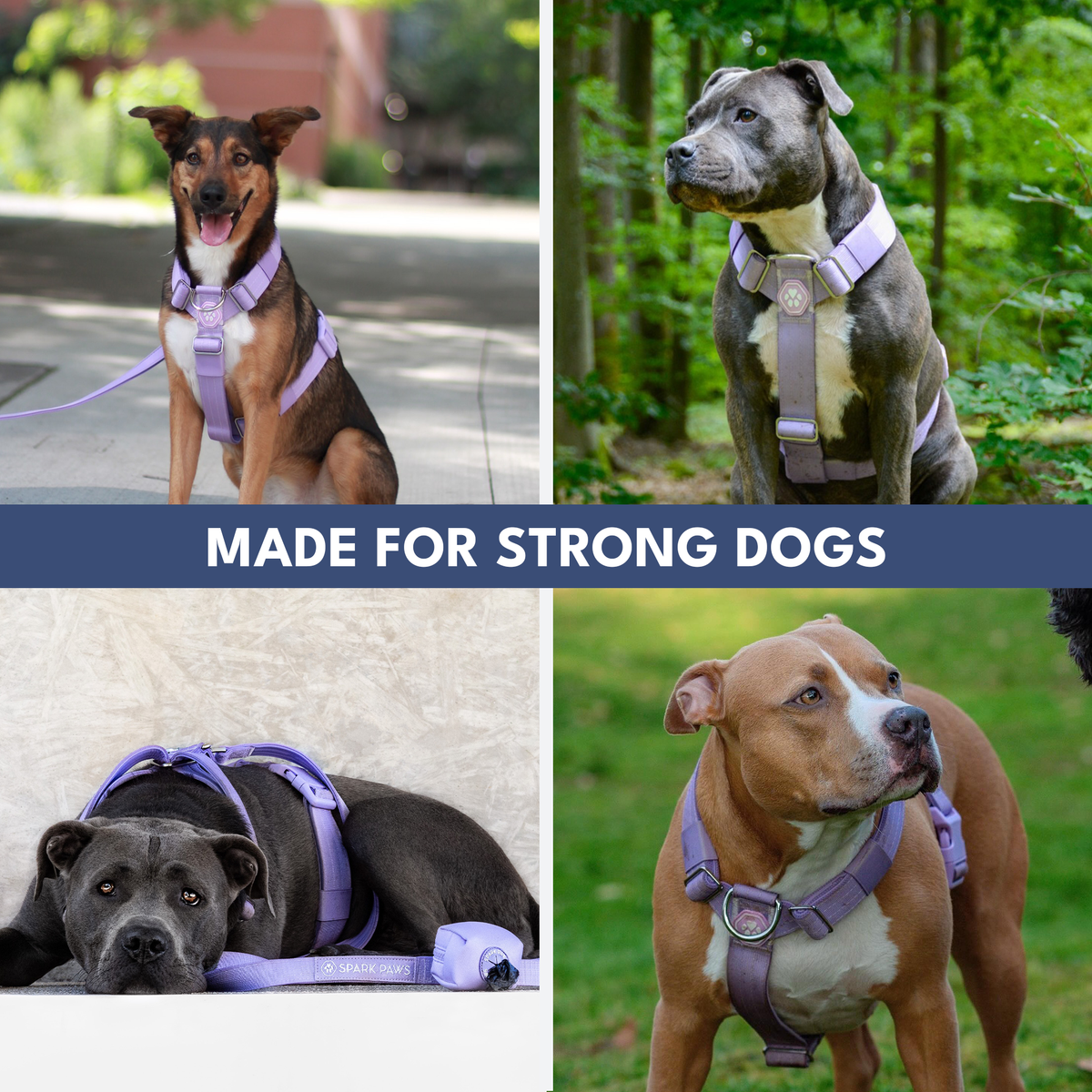 No-Pull Dog Harness product image 49