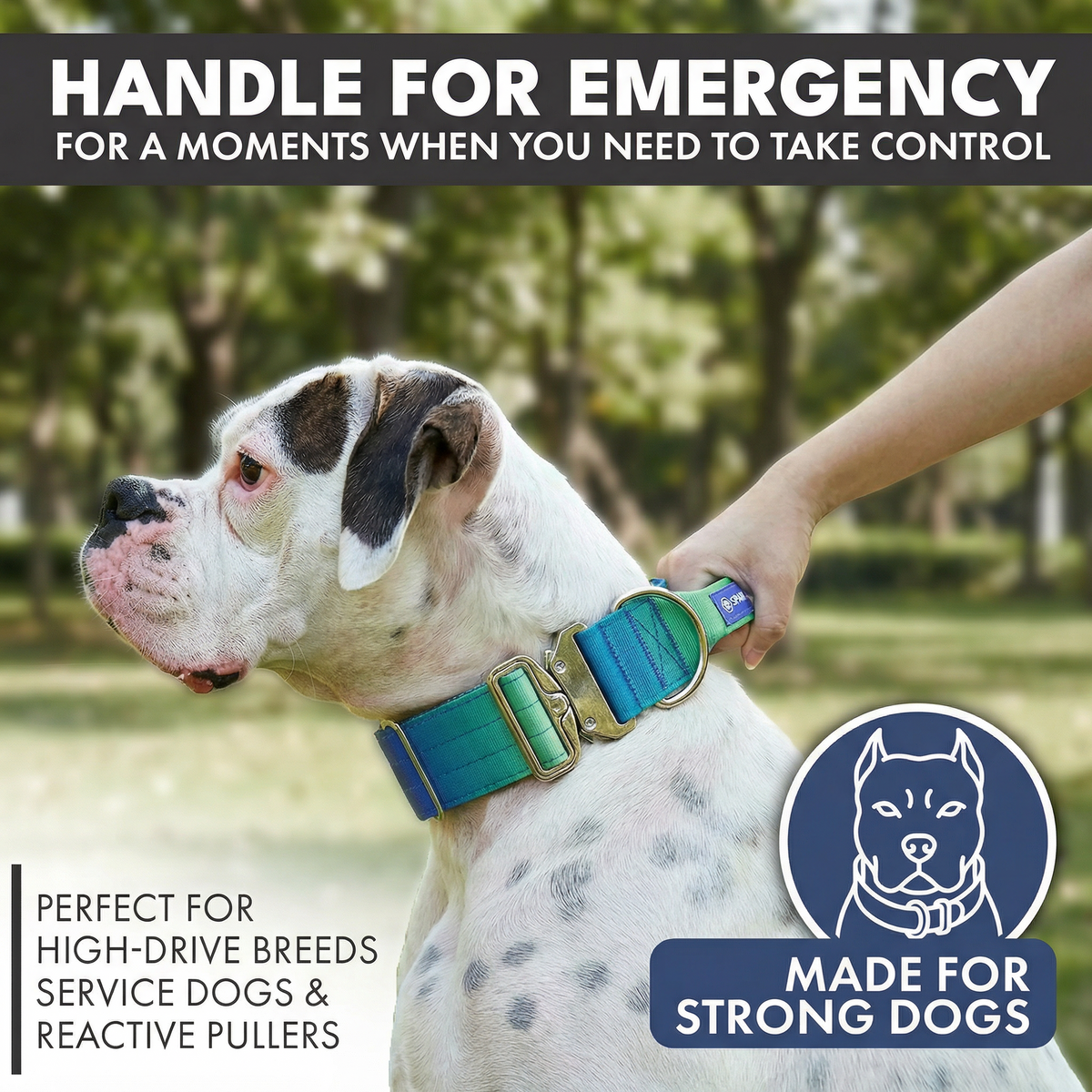 Tactical Dog Collar Set product image 16