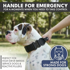 Tactical Dog Collar Set product image 23