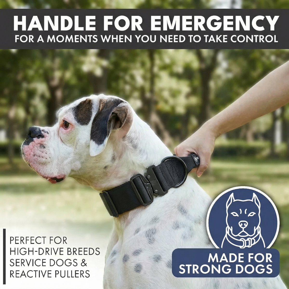 Tactical Dog Collar Set product image 23