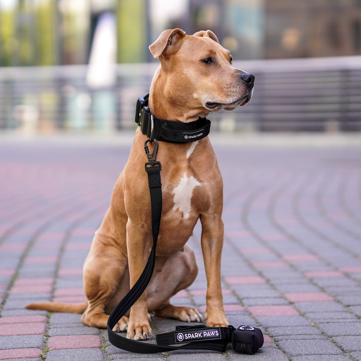 Tactical Dog Collar Set product image 28