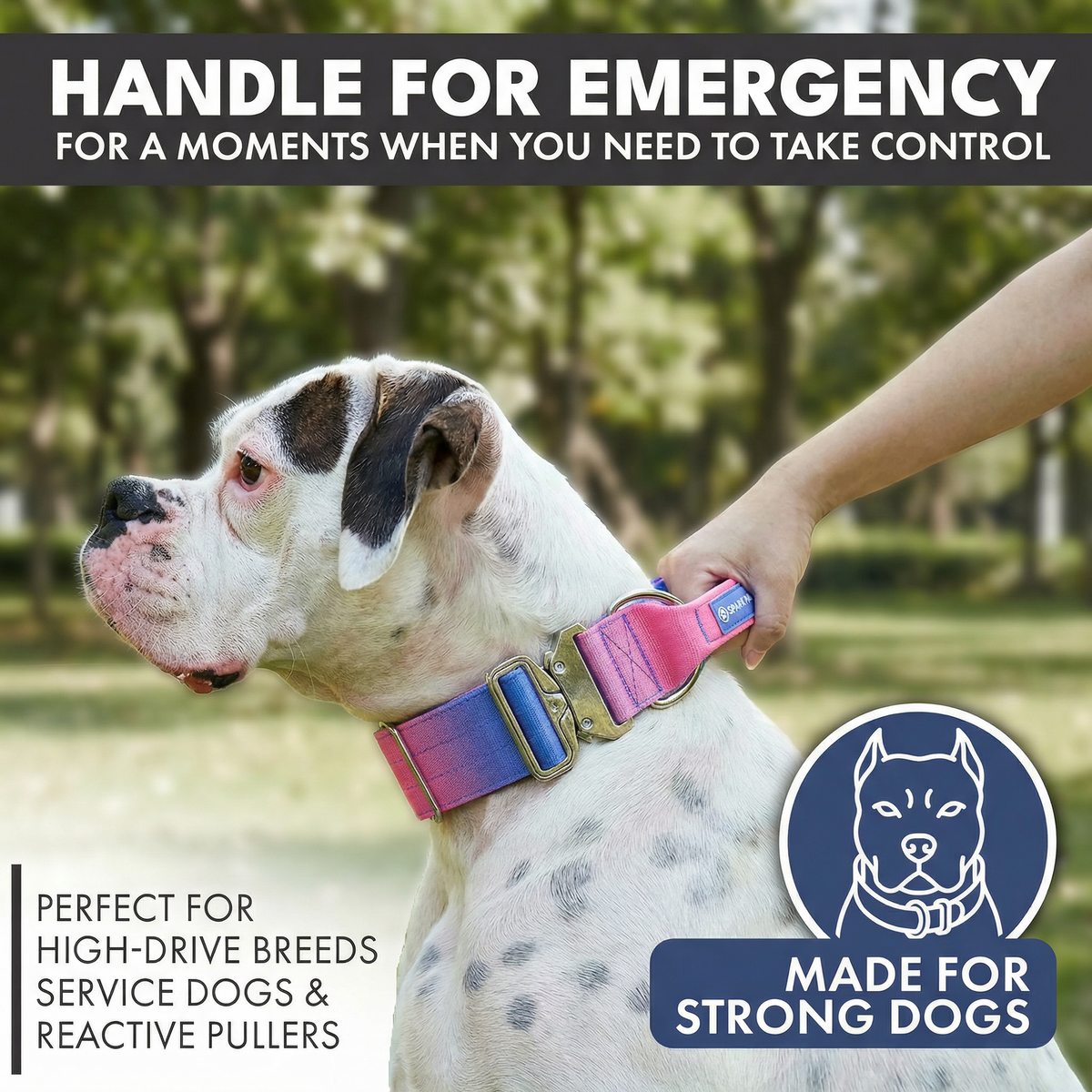 Tactical Dog Collar Set product image 37
