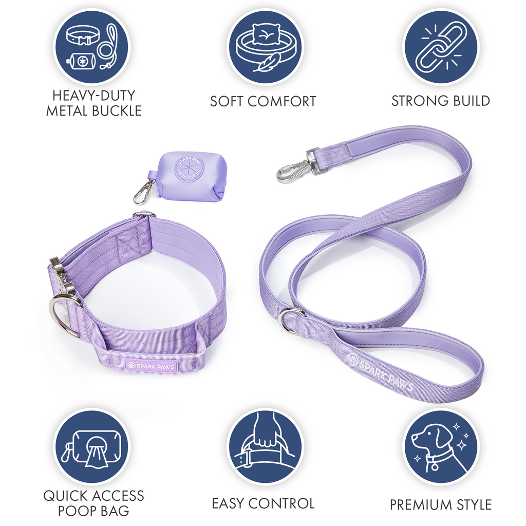 Tactical Dog Collar Set product image 45