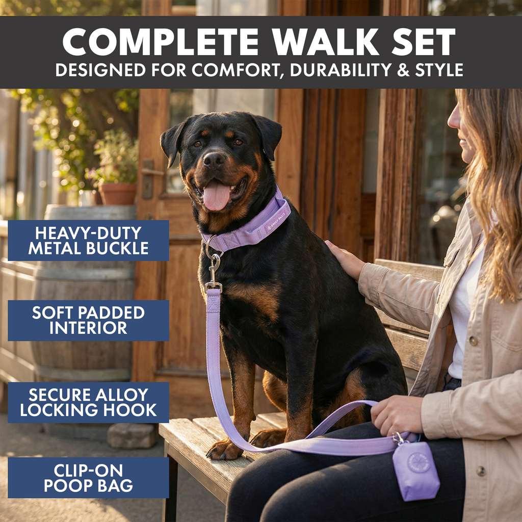 Tactical Dog Collar Set product image 46