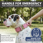 Tactical Dog Collar Set product image 58