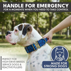 Tactical Dog Collar Set product image 65