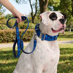 Tactical Dog Collar Set product image 70