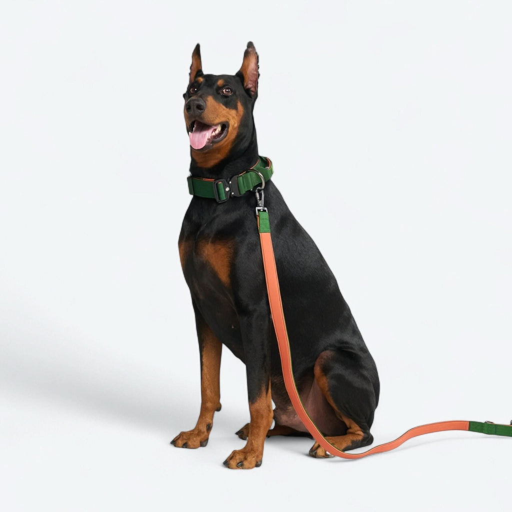 Tactical Dog Collar Set product image 76