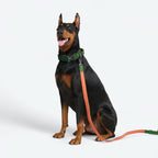 Tactical Dog Collar Set product image 76