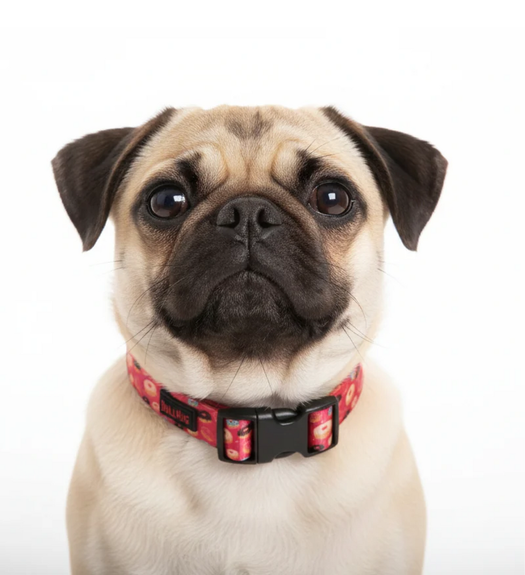 Dog Collar product image 4