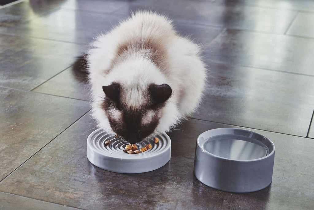 Slow Feeder Cat Bowl product image 2