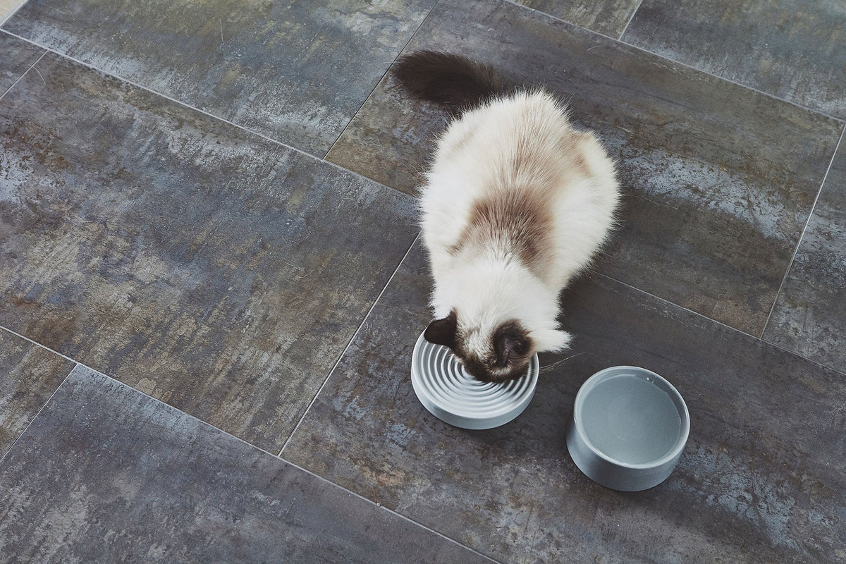 Slow Feeder Cat Bowl product image 3