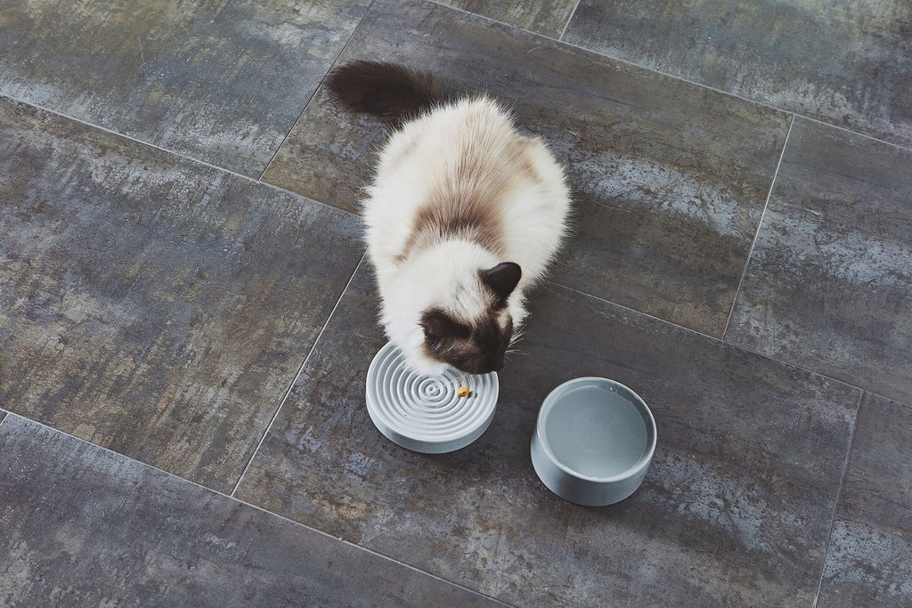 Cat Bowl product image 3
