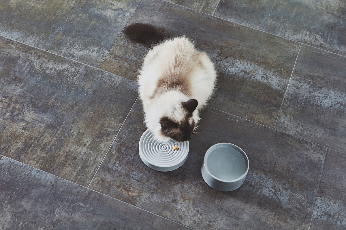 Cat Bowl product image 3