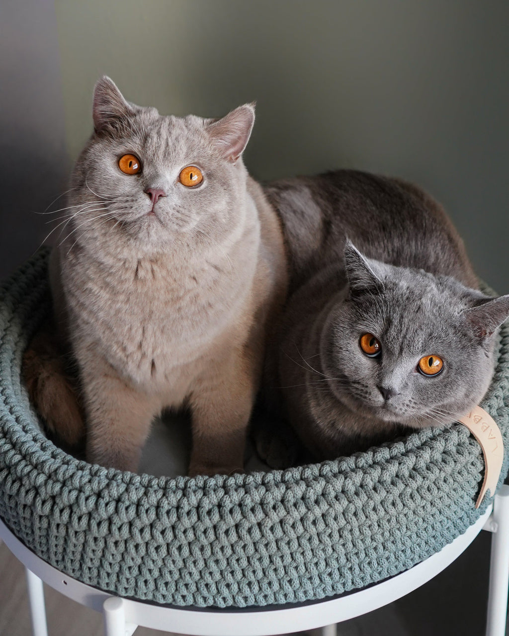 Cat Bed product image 4