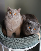Cat Bed product image 4