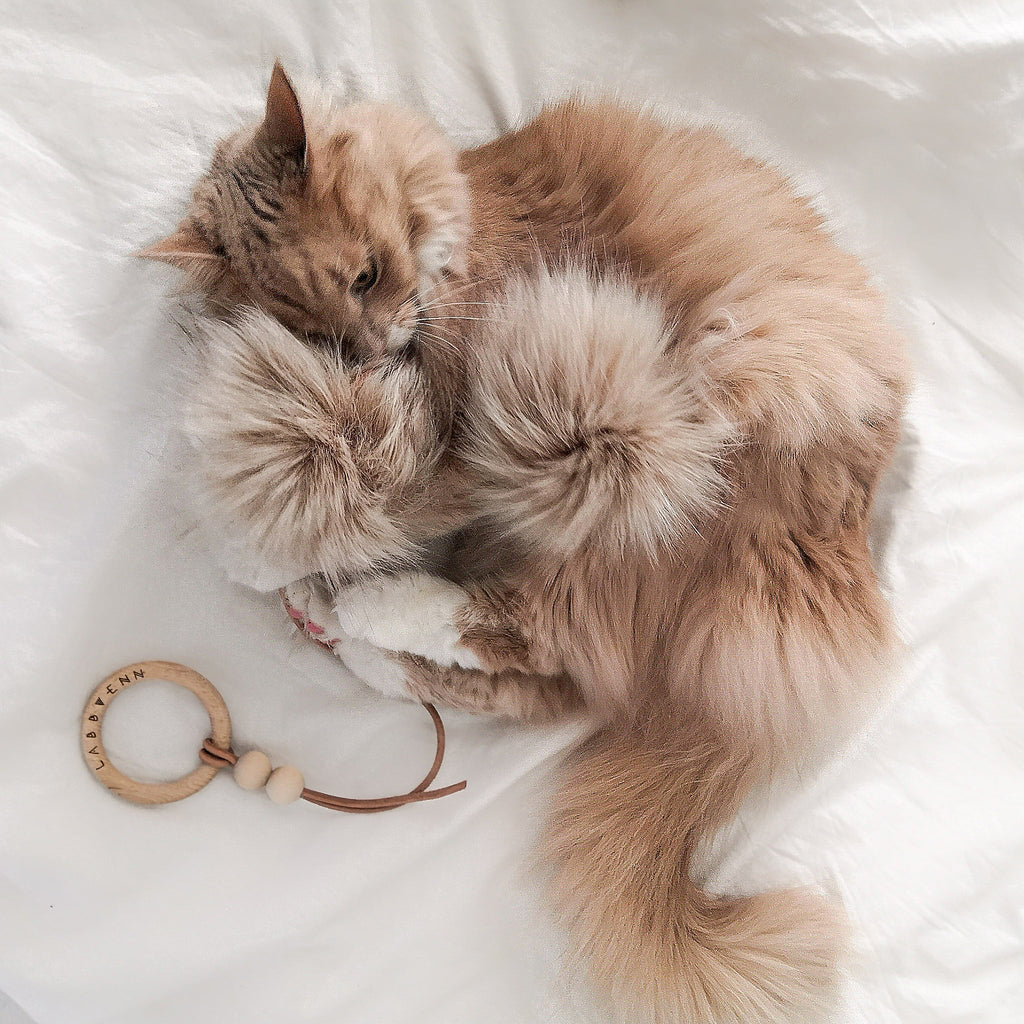 Cat Toy product image 5