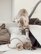 Feather Cat Toy product image 3