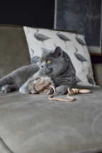 Feather Cat Toy product image 4